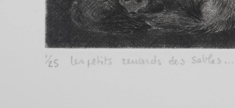 Camille COMBE : Les petits renards des sables, Gravure originale signée