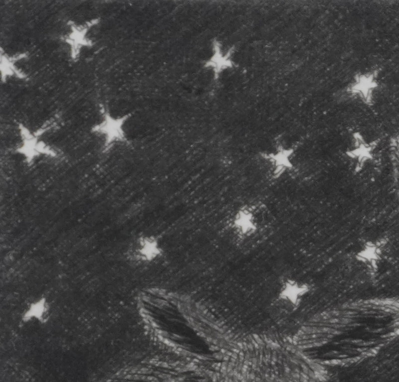 Camille COMBE : Les petits renards des sables, Gravure originale signée