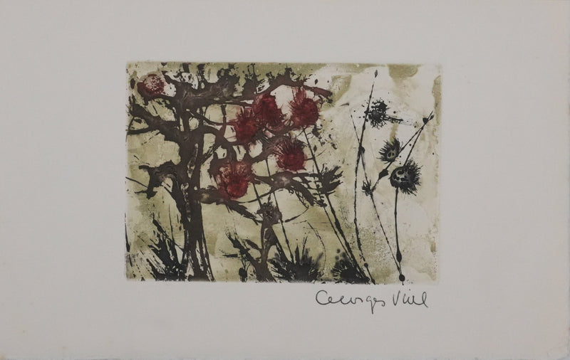 Georges VIAL : Les fleurs d&