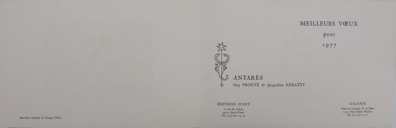 Georges VIAL : Les fleurs d&