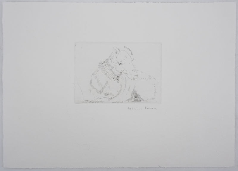 Camille COMBE : Tête de chien, Gravure originale signée