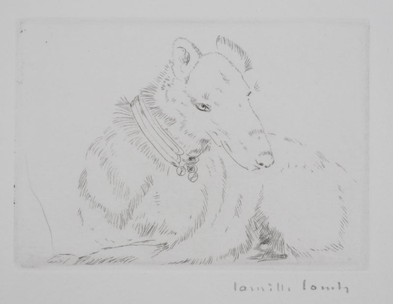 Camille COMBE : Tête de chien, Gravure originale signée