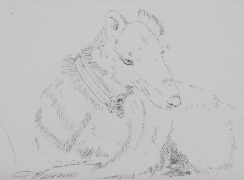 Camille COMBE : Tête de chien, Gravure originale signée