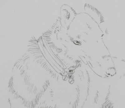 Camille COMBE : Tête de chien, Gravure originale signée