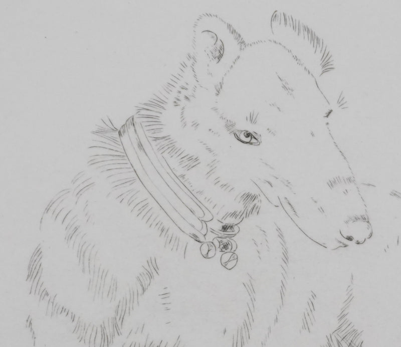 Camille COMBE : Tête de chien, Gravure originale signée