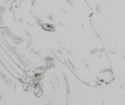 Camille COMBE : Tête de chien, Gravure originale signée