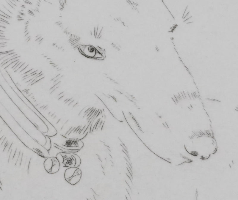 Camille COMBE : Tête de chien, Gravure originale signée