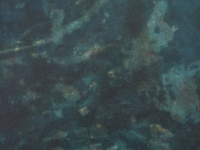 Alain BONNEFOIT : Nu au médaillon, Lithographie originale signée