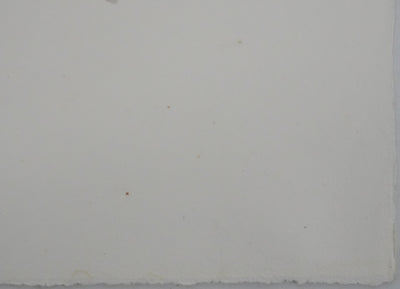 Adolphe FEDER : Femme en robe blanche, Lithographie originale signée