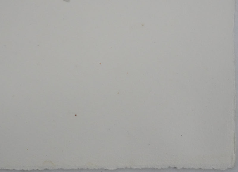 Adolphe FEDER : Femme en robe blanche, Lithographie originale signée