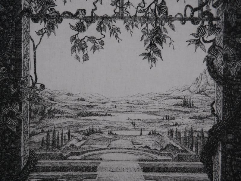 François HOUTIN : La vue, Gravure originale signée