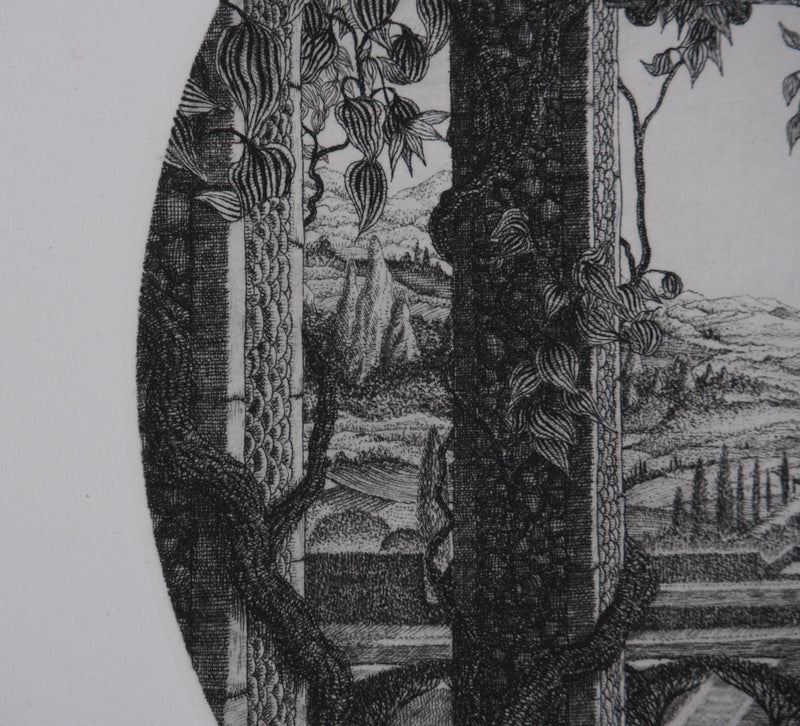 François HOUTIN : La vue, Gravure originale signée