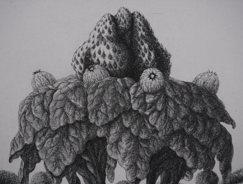 François HOUTIN : Le goût, Gravure originale signée