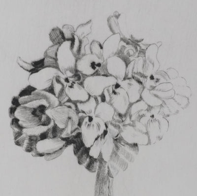 Camille COMBE : Doux fleurantes, Gravure originale signée