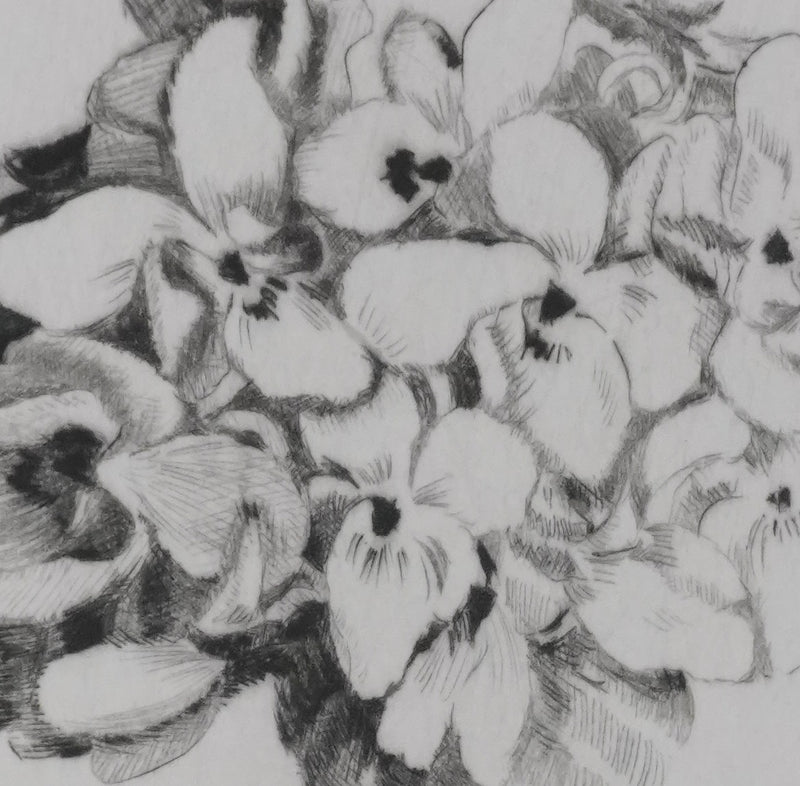 Camille COMBE : Doux fleurantes, Gravure originale signée