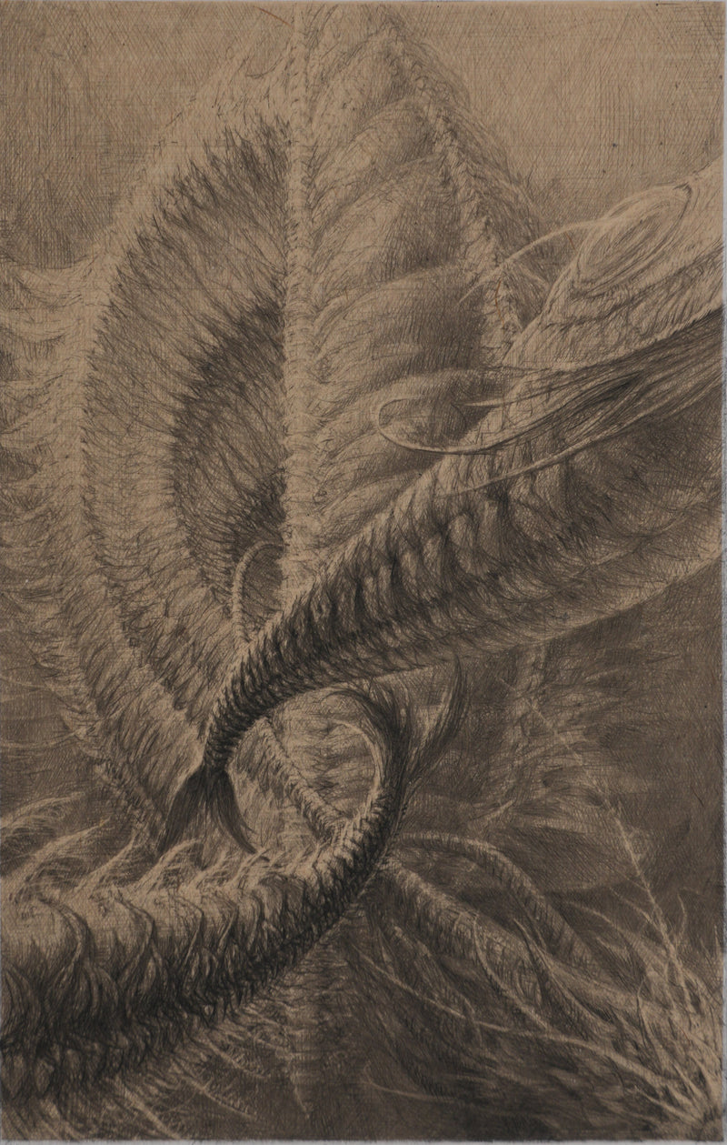 Jean Michel MATHIEUX-MARIE : Le bal, créature marine, Gravure originale signée