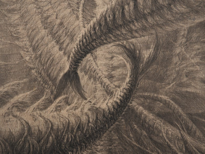Jean Michel MATHIEUX-MARIE : Le bal, créature marine, Gravure originale signée