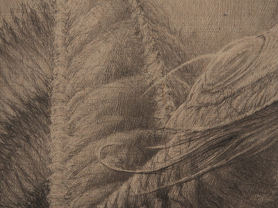 Jean Michel MATHIEUX-MARIE : Le bal, créature marine, Gravure originale signée
