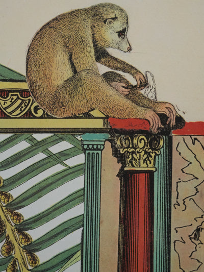 Max ERNST : Décors antique et singe, Lithographie signée