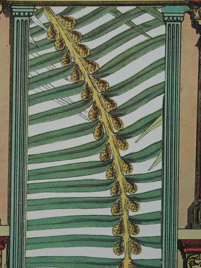 Max ERNST : Décors antique et singe, Lithographie signée