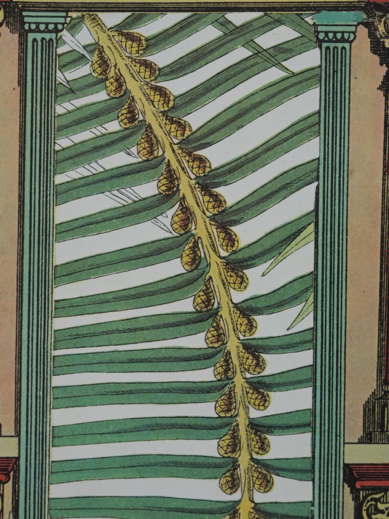 Max ERNST : Décors antique et singe, Lithographie signée