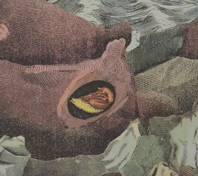 Max ERNST : La tempête en mer, Lithographie signée