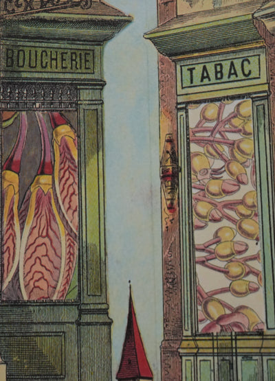 Max ERNST : Petits commerces surréalistes, Lithographie signée