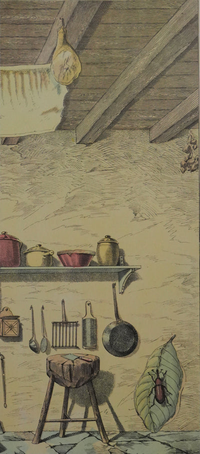 Max ERNST : Métamorphose surréaliste, Lithographie signée