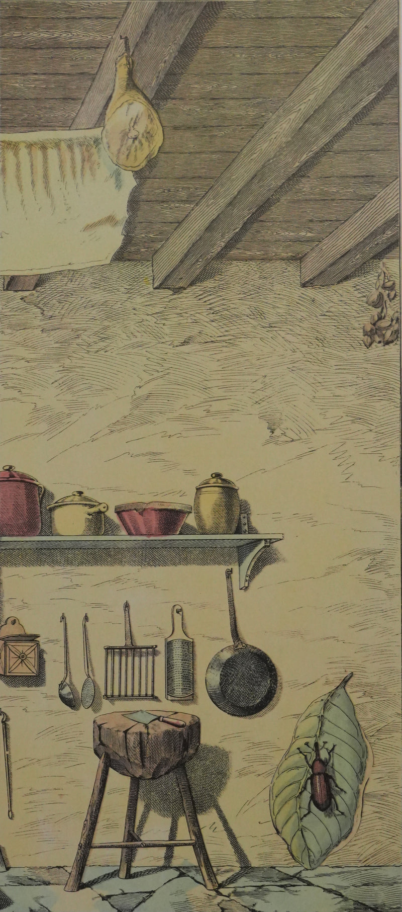 Max ERNST : Métamorphose surréaliste, Lithographie signée