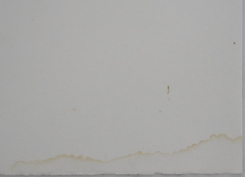 Adolphe FEDER : Le dormeur du val, Lithographie originale signée