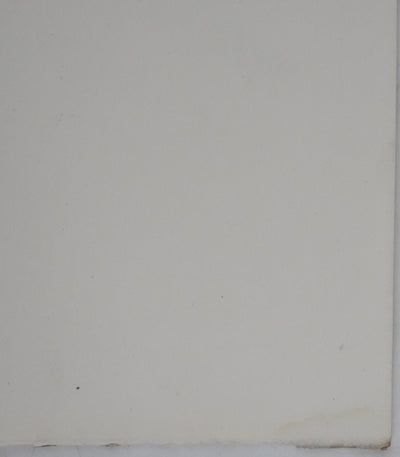 Adolphe FEDER : La jardinière, Lithographie originale signée