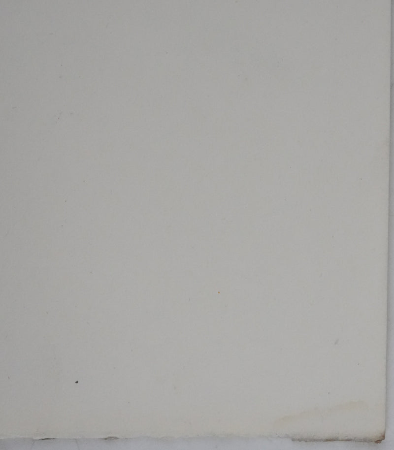 Adolphe FEDER : La jardinière, Lithographie originale signée