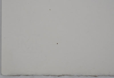 Adolphe FEDER : Le vigneron, Lithographie originale signée