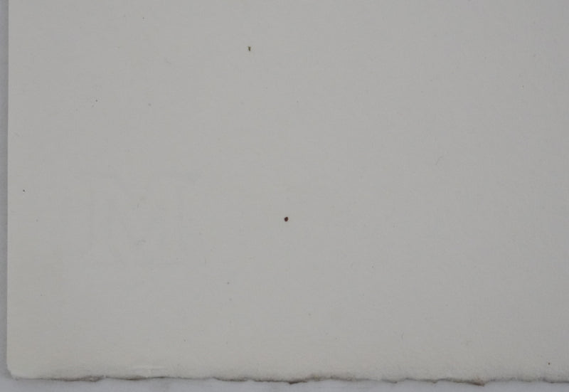 Adolphe FEDER : Le vigneron, Lithographie originale signée