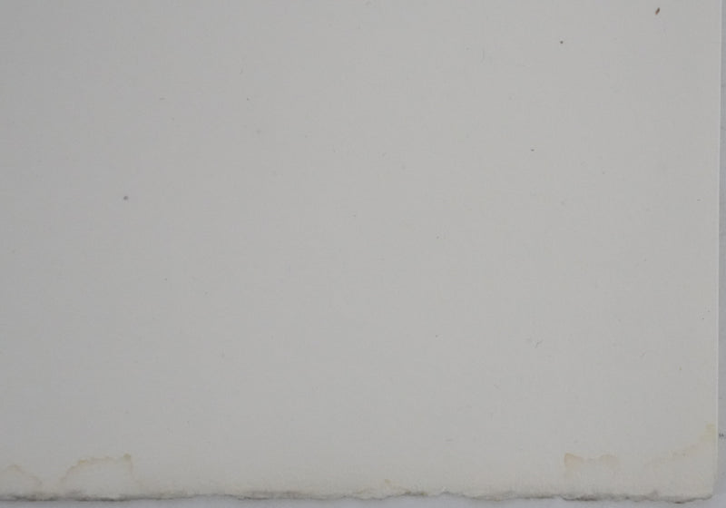 Adolphe FEDER : Paysage forestier, Lithographie originale signée