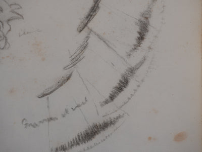 Georges MANZANA-PISSARRO : Etude d'un pigeon, Dessin original