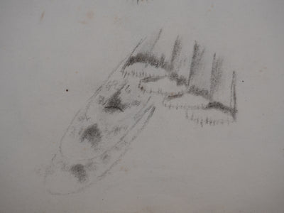 Georges MANZANA-PISSARRO : Etude d'un pigeon, Dessin original