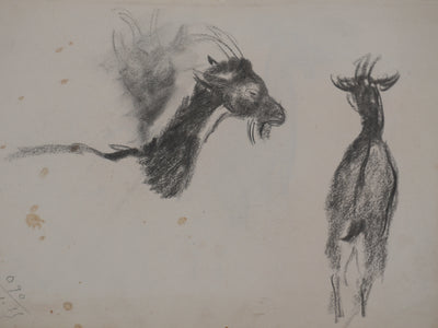 Georges MANZANA-PISSARRO : Etude d'une chèvre, Dessin original