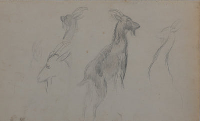 Georges MANZANA-PISSARRO : Petite chèvre sauvage, Dessin original