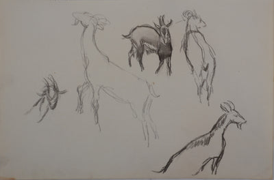 Georges MANZANA-PISSARRO : Les chèvres de la ferme, Dessin original