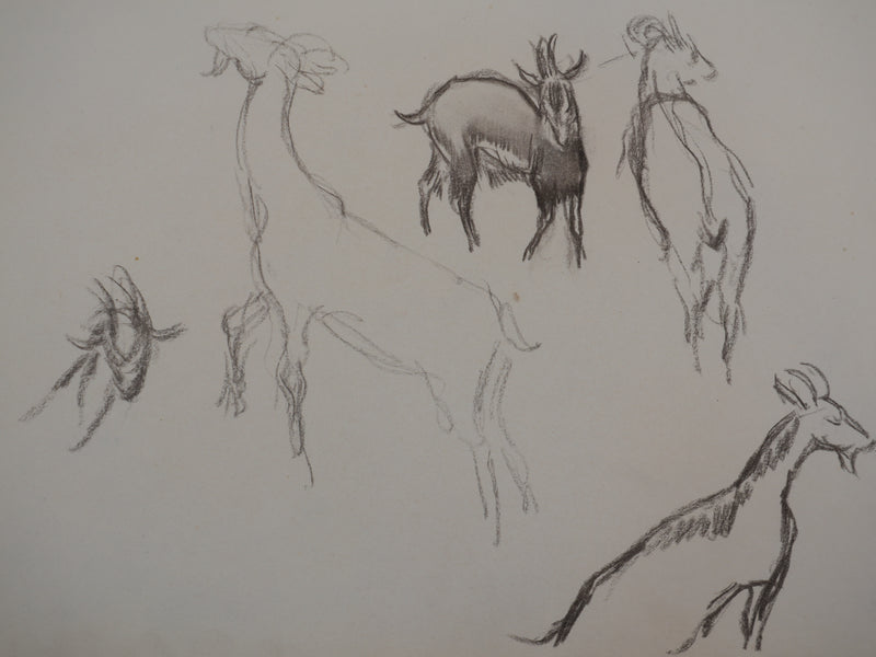 Georges MANZANA-PISSARRO : Les chèvres de la ferme, Dessin original