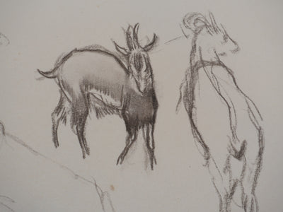 Georges MANZANA-PISSARRO : Les chèvres de la ferme, Dessin original