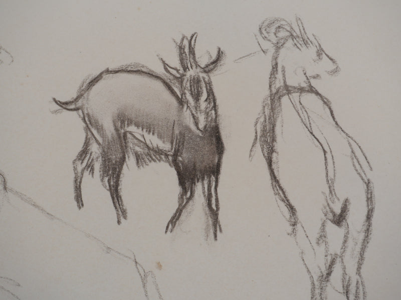 Georges MANZANA-PISSARRO : Les chèvres de la ferme, Dessin original
