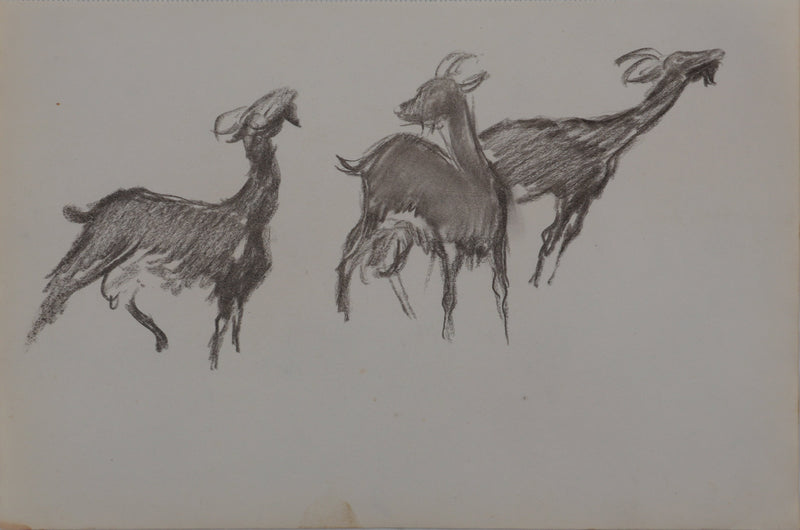 Georges MANZANA-PISSARRO : Les trois petites chèvres, Dessin original