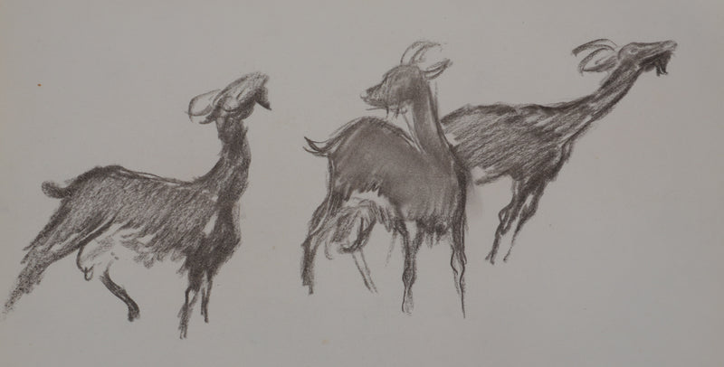 Georges MANZANA-PISSARRO : Les trois petites chèvres, Dessin original