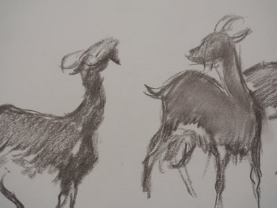 Georges MANZANA-PISSARRO : Les trois petites chèvres, Dessin original