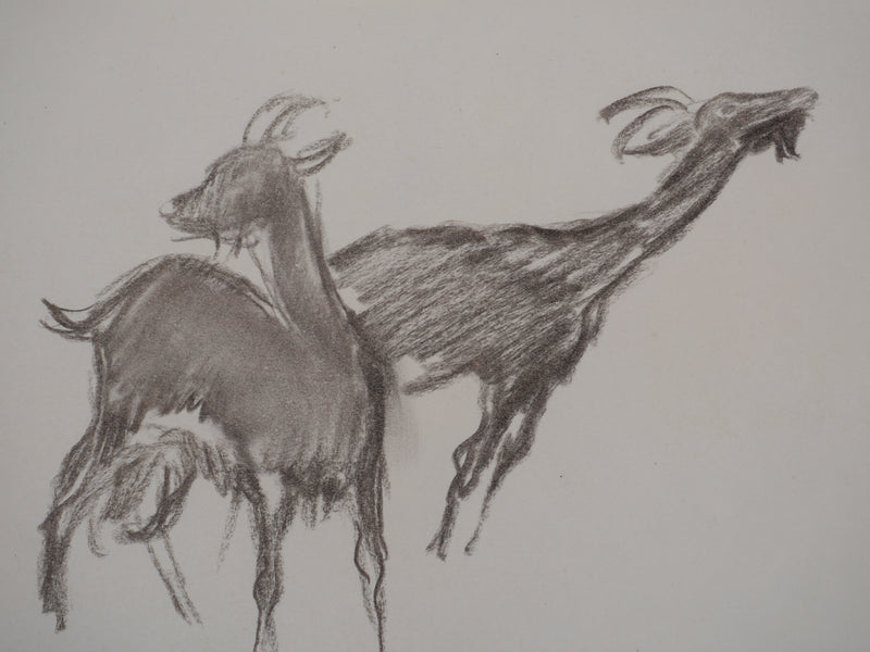 Georges MANZANA-PISSARRO : Les trois petites chèvres, Dessin original