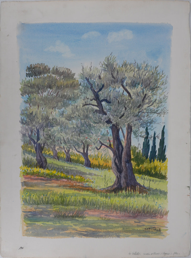 Salomon Alfred BOISECQ : Jardin à Cagnes-sur-Mer, Aquarelle originale signée