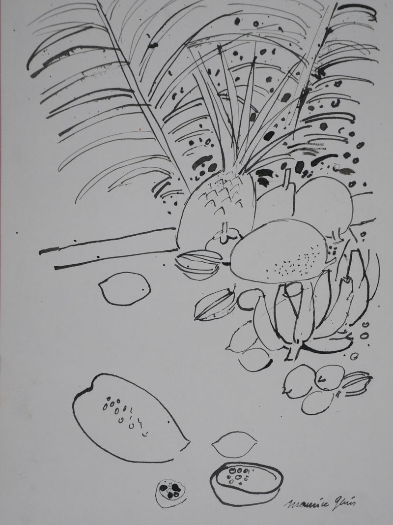 Maurice GENIS : Nature morte aux fruits exotiques, Dessin original signé