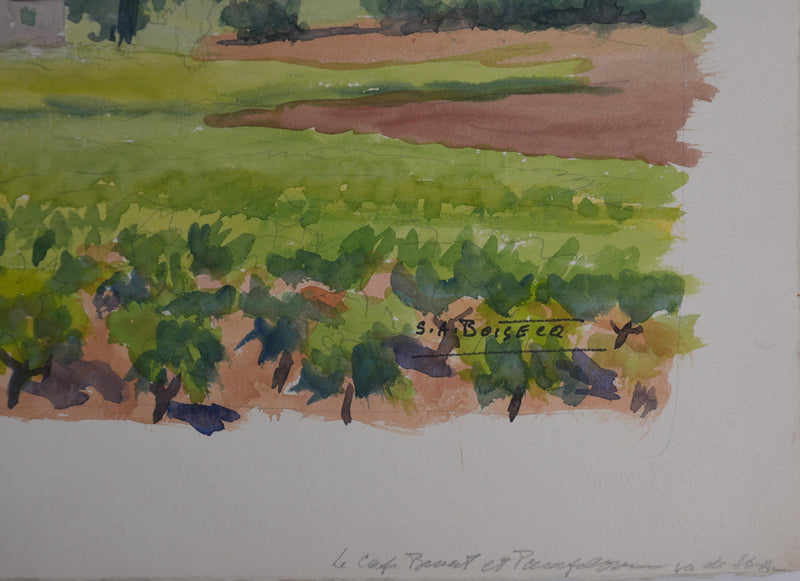 Salomon Alfred BOISECQ : Les vignes vue sur mer, Aquarelle originale signée